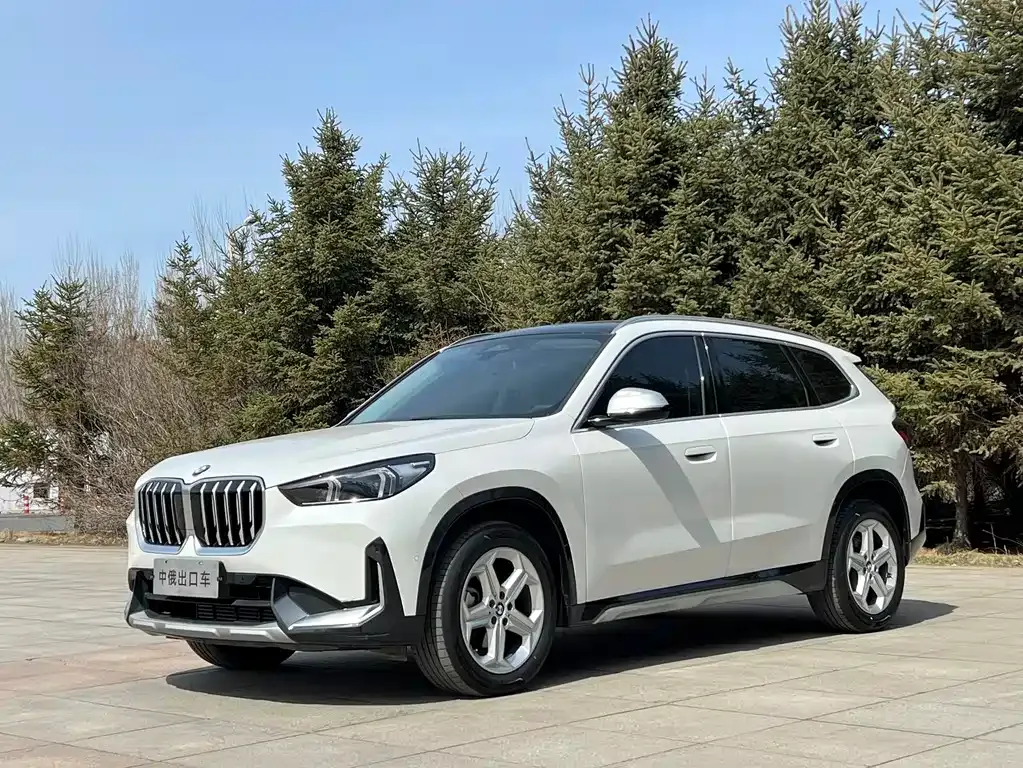 BMW X1 — фото 1