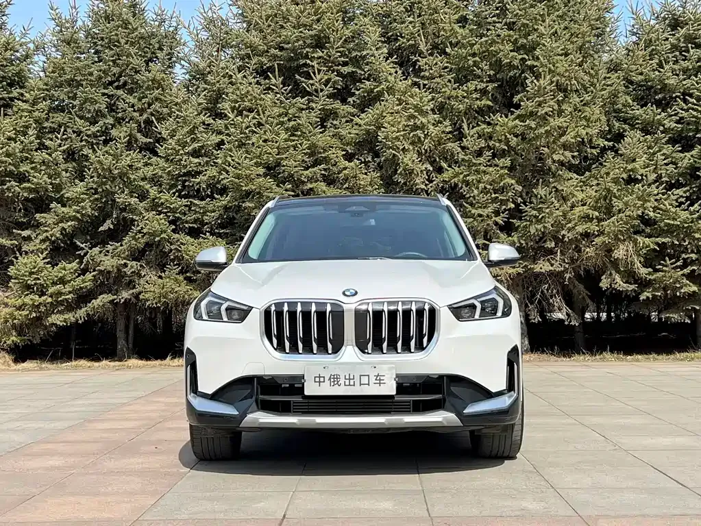 BMW X1 — фото 10