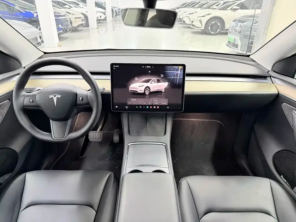 Tesla Model Y — фото 2