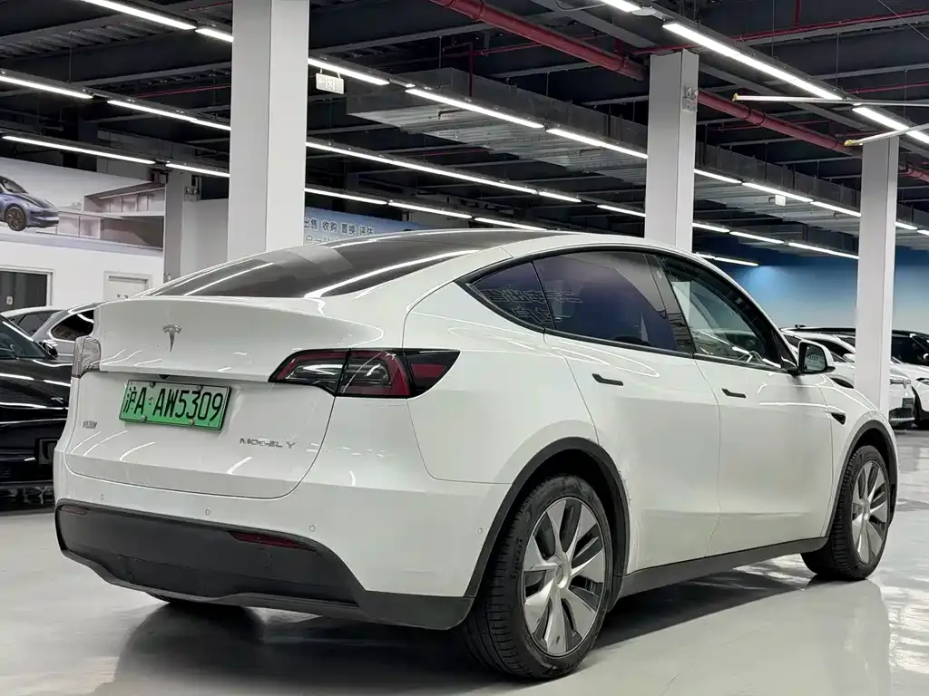 Tesla Model Y — фото 9
