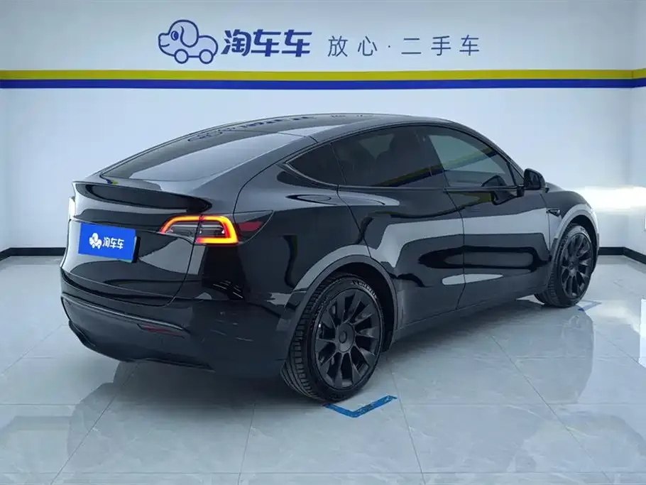 Tesla Model Y — фото 2