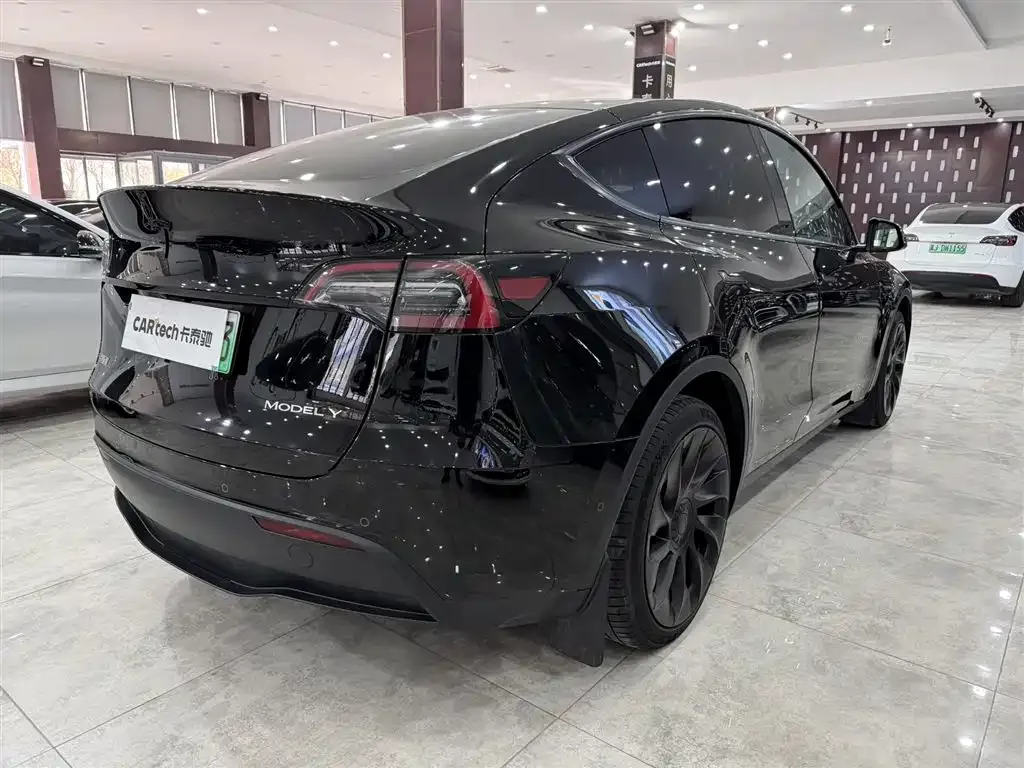 Tesla Model Y — фото 9
