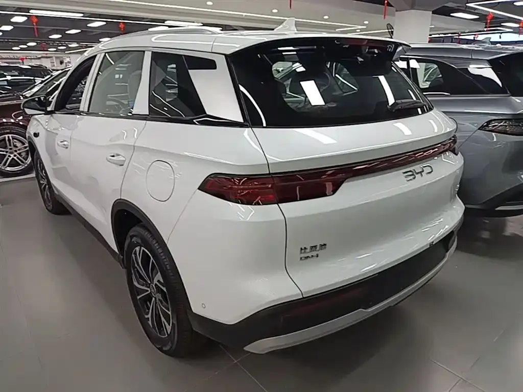 BYD Pro New Energy — фото 10