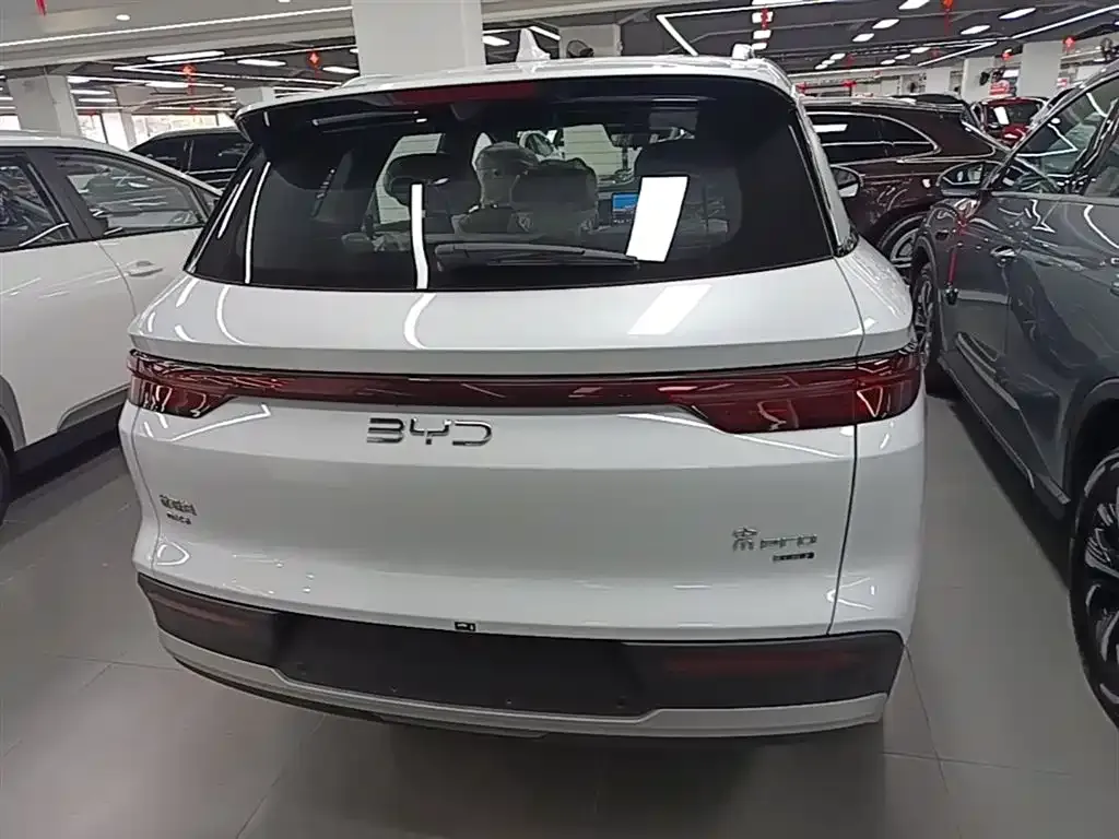 BYD Pro New Energy — фото 7