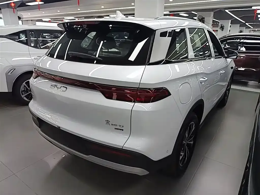 BYD Pro New Energy — фото 2