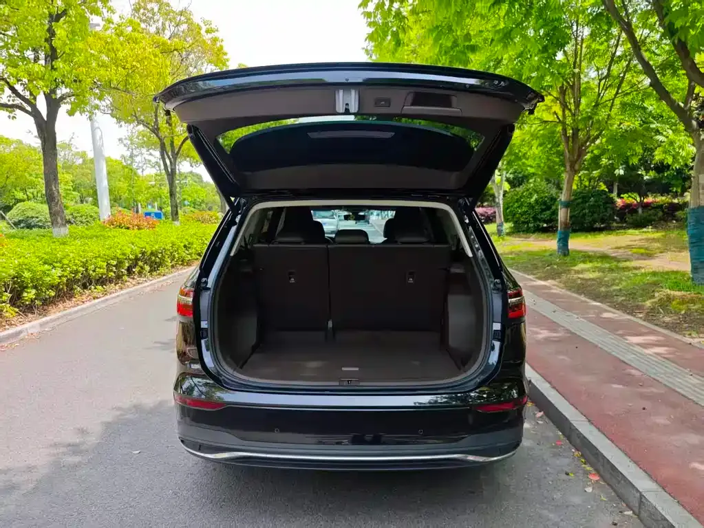 Volkswagen Viloran 2024 из CN, фото 9