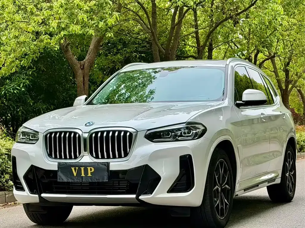 BMW X3 — фото 1