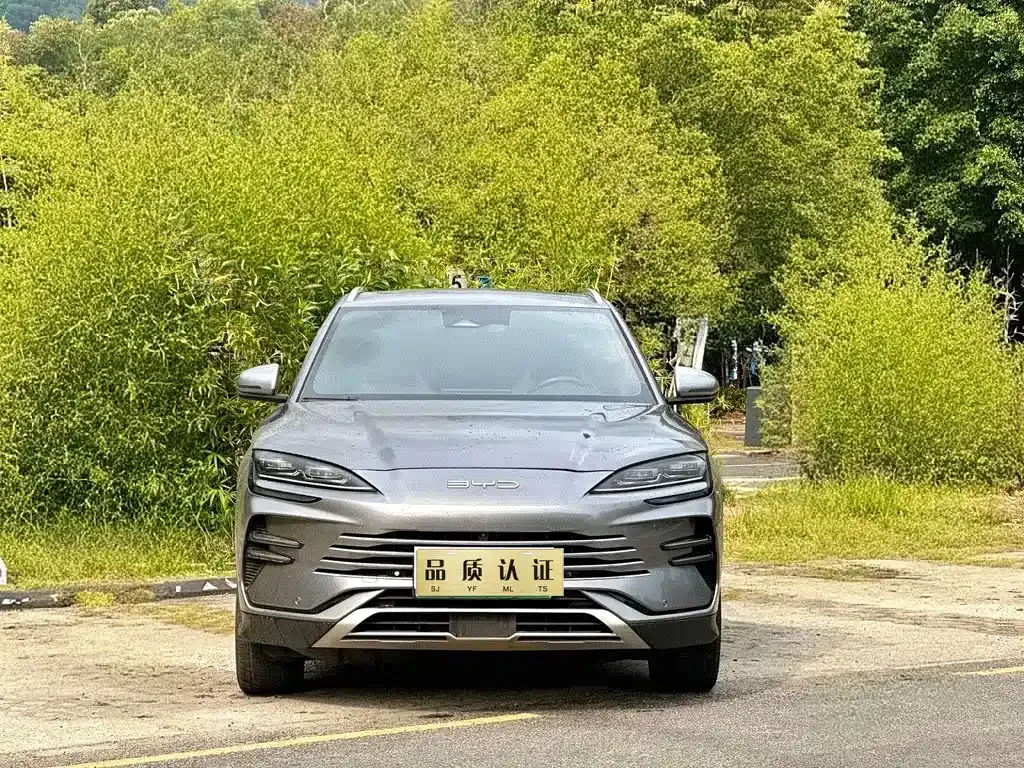 BYD PLUS New Energy