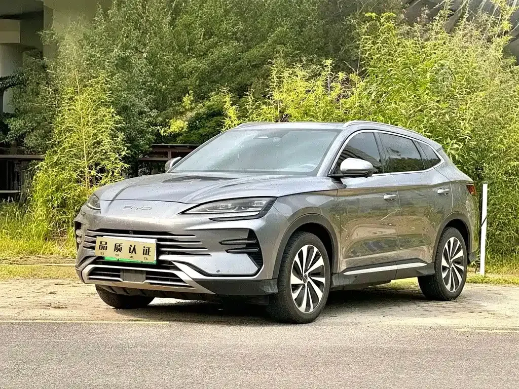 BYD PLUS New Energy 2023 из CN, фото 4