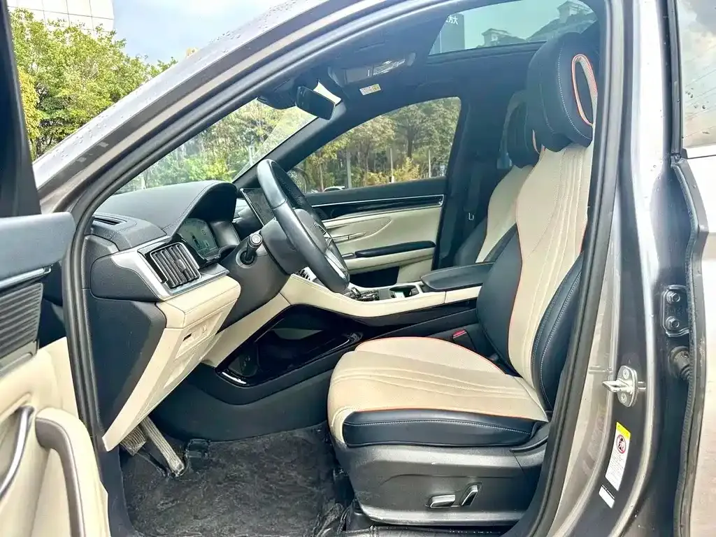 BYD PLUS New Energy 2023 из CN, фото 5
