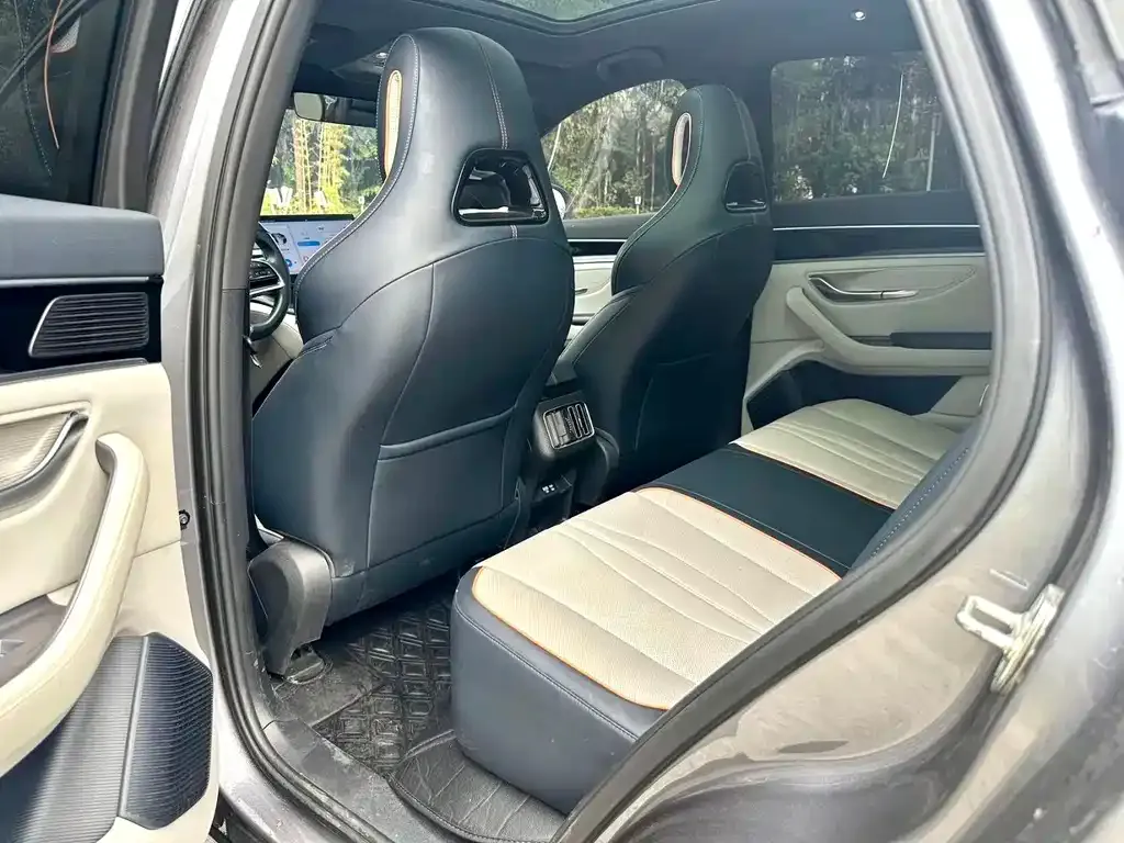 BYD PLUS New Energy 2023 из CN, фото 2