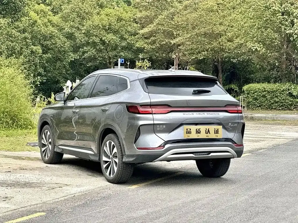BYD PLUS New Energy 2023 из CN, фото 6