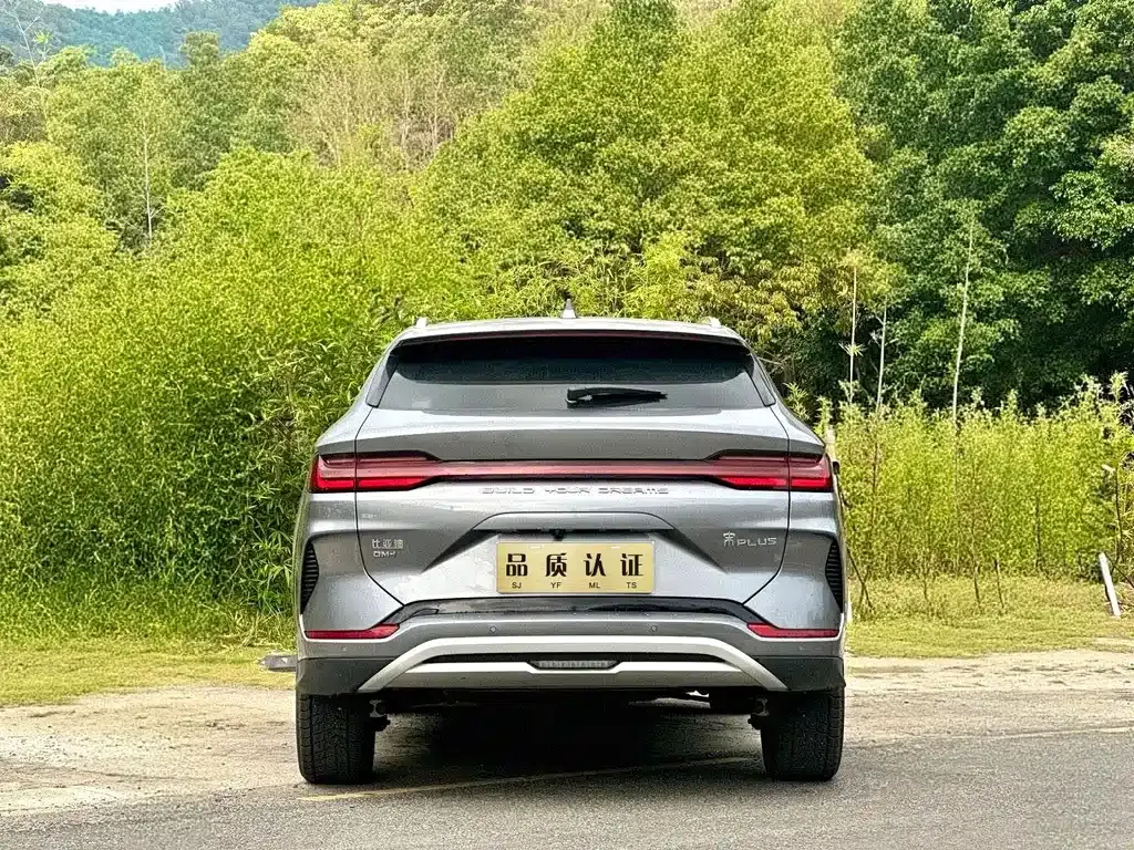 BYD PLUS New Energy 2023 из CN, фото 8