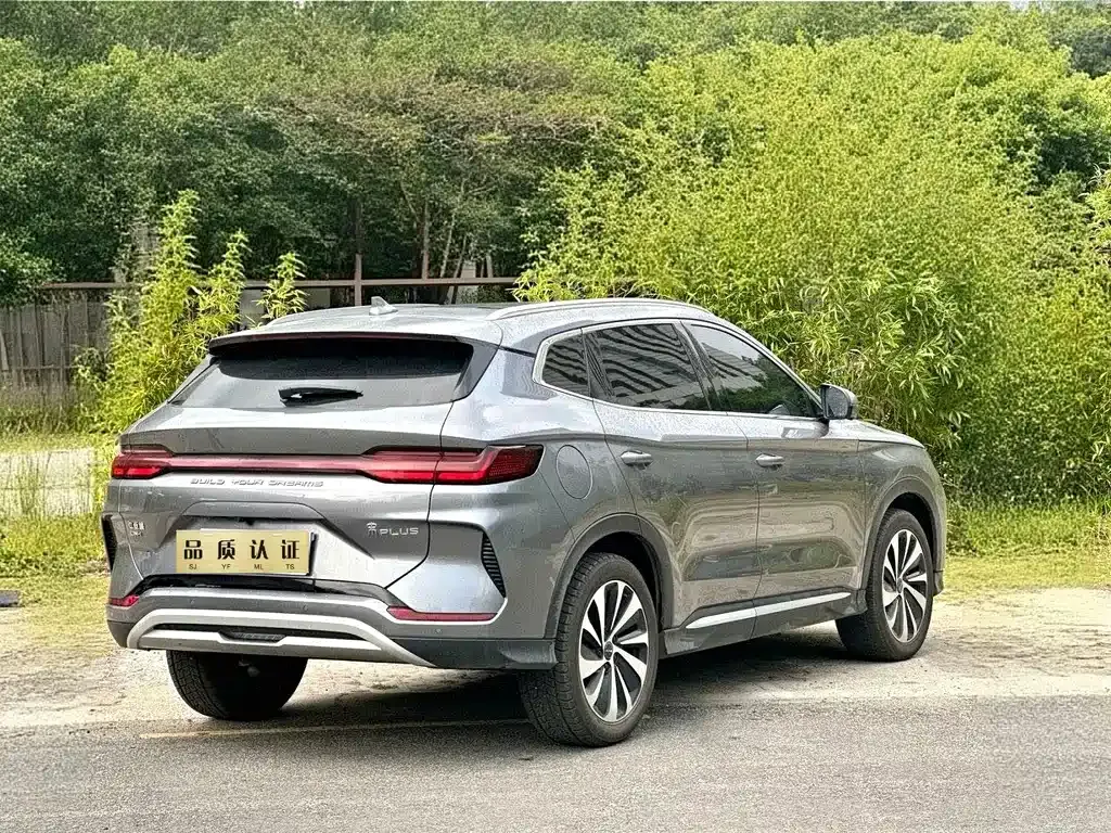 BYD PLUS New Energy 2023 из CN, фото 9