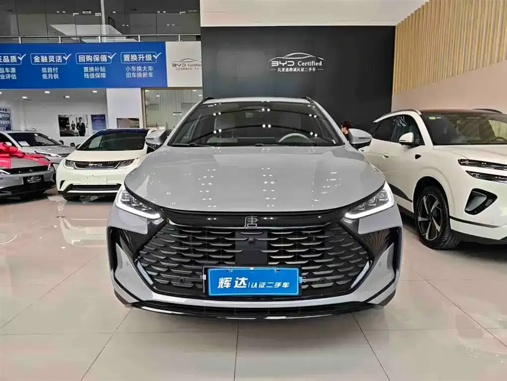 BYD Tang New Energy — фото 9