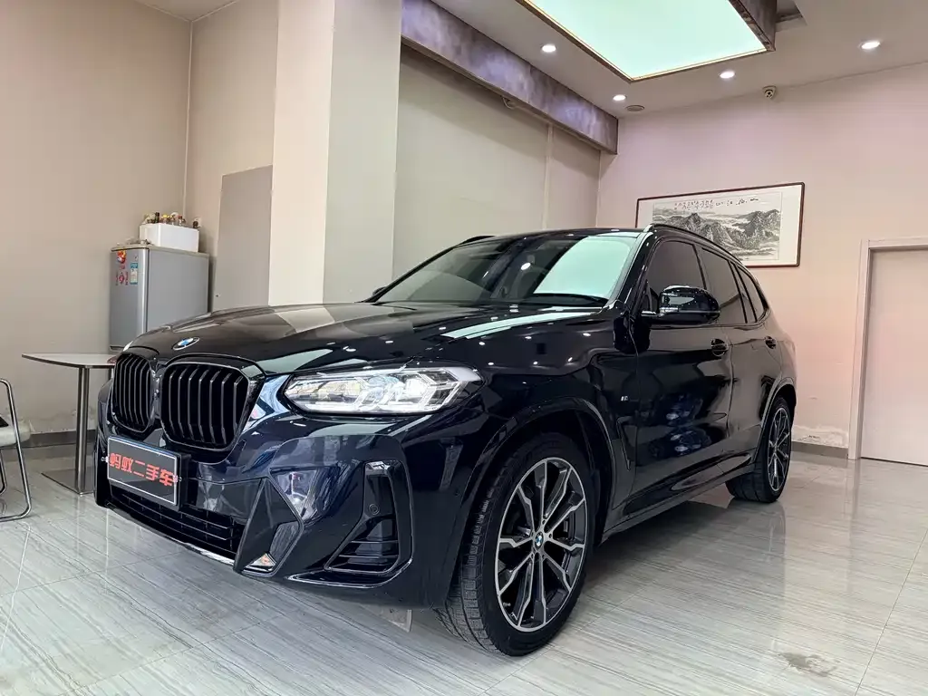 BMW X3 — фото 1
