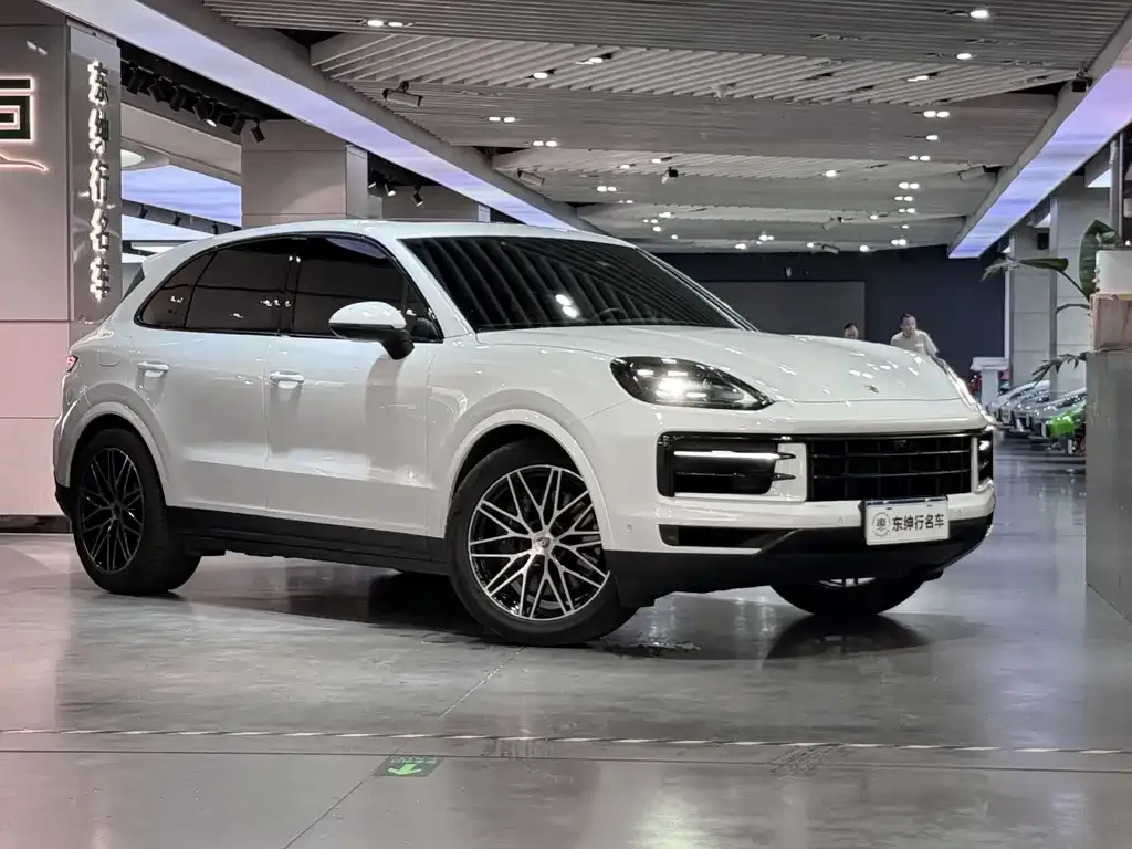 Porsche Cayenne — фото 6