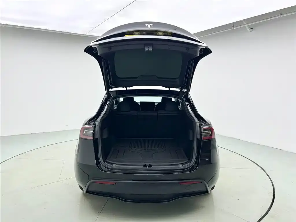 Tesla Model Y — фото 10