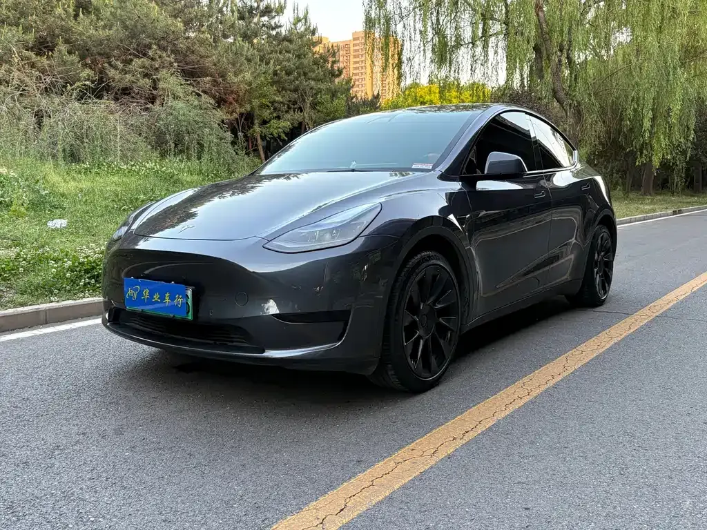 Tesla Model Y — фото 1