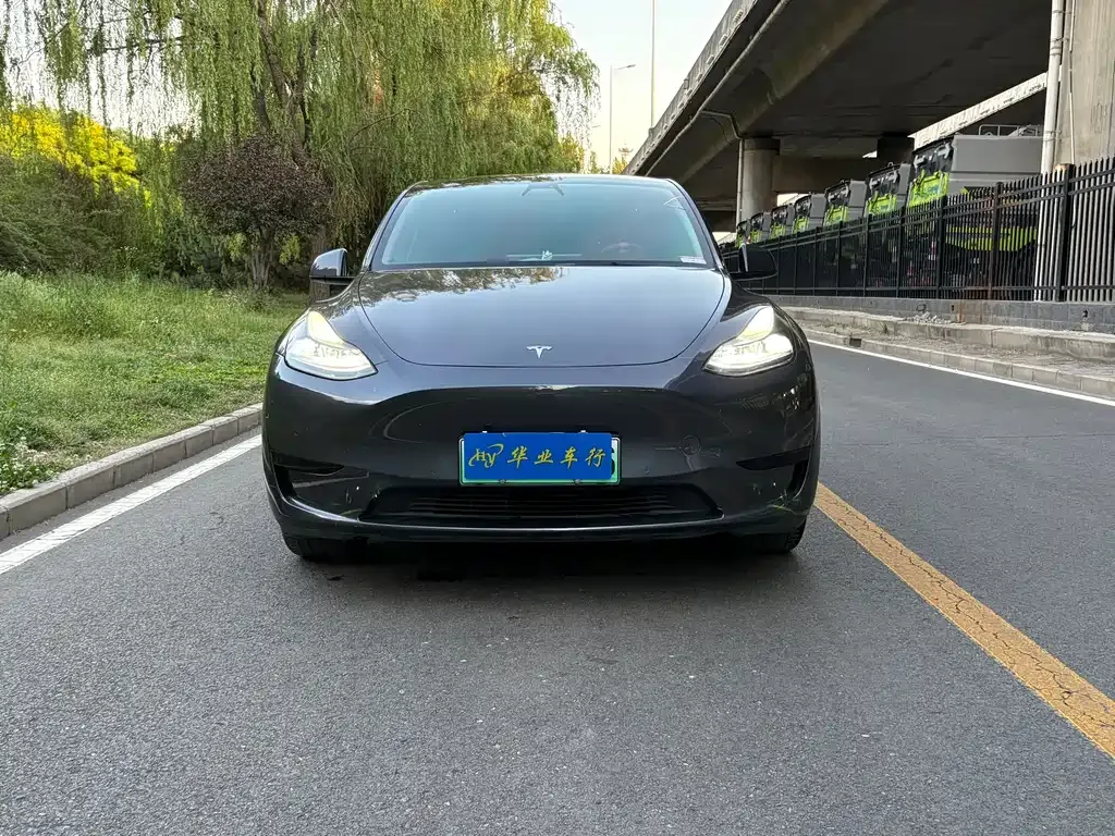Tesla Model Y — фото 9