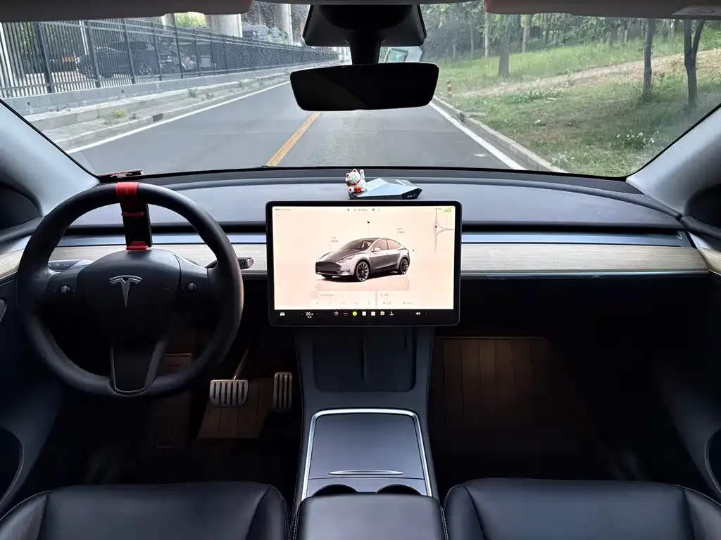 Tesla Model Y — фото 7