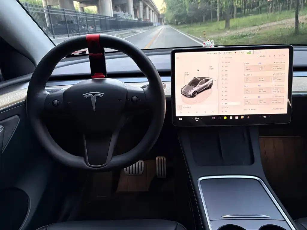 Tesla Model Y — фото 2