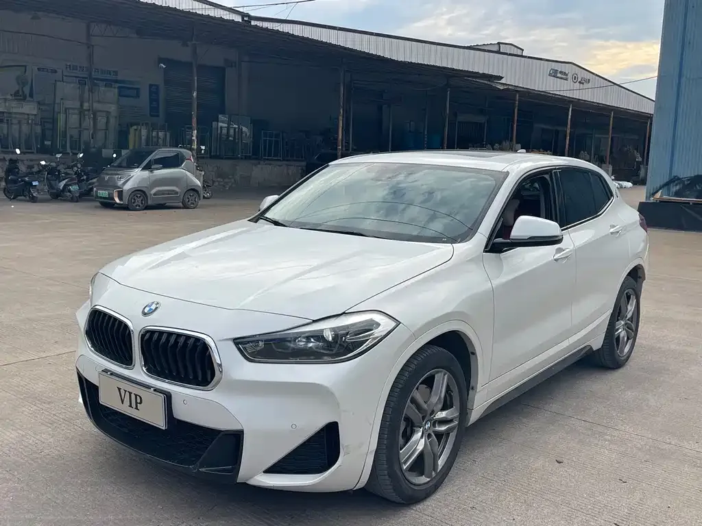 BMW X2 — фото 1