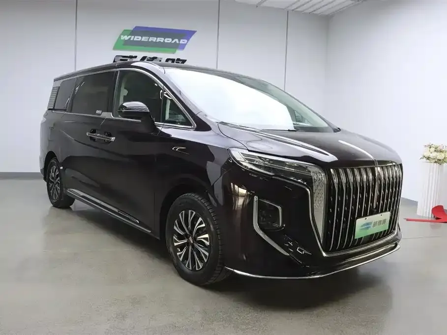 Hongqi HQ9 PHEV 2024 из CN, фото 6