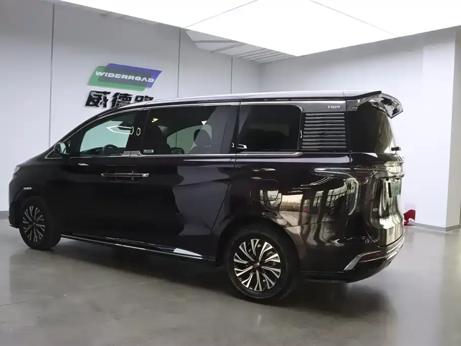 Hongqi HQ9 PHEV 2024 из CN, фото 9