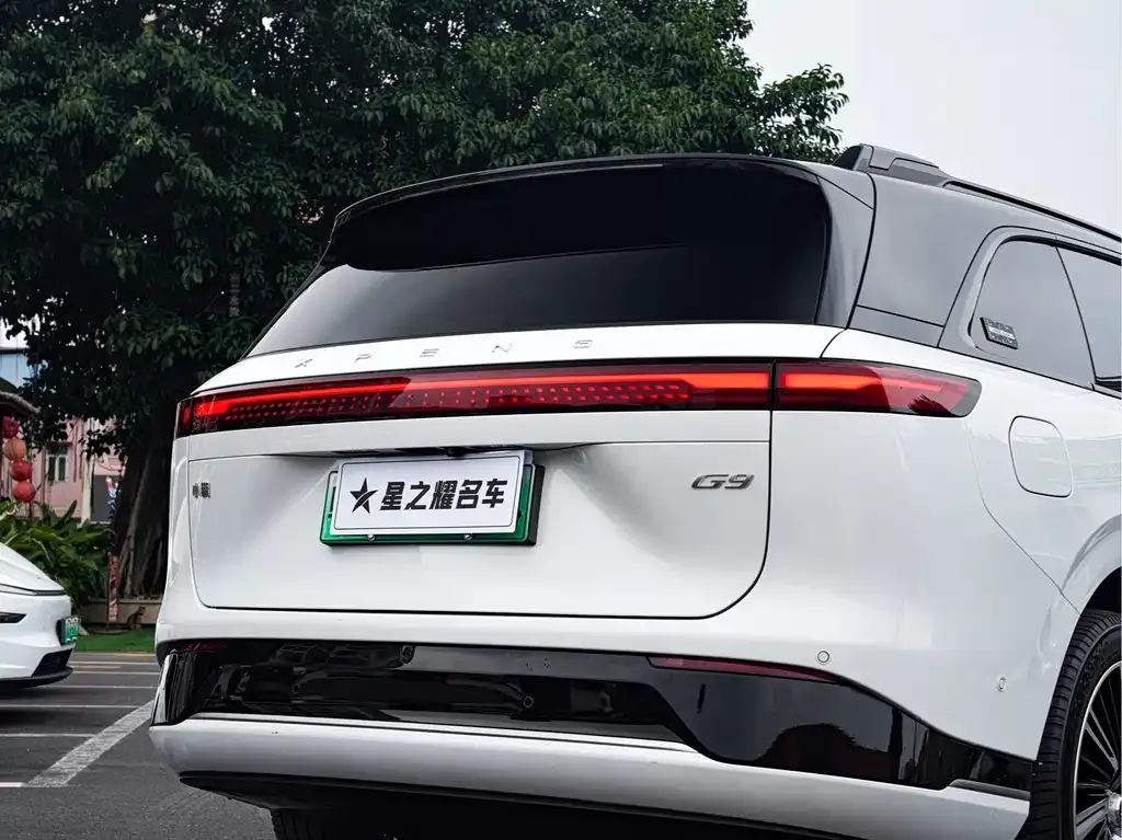 XPeng G9 2023 из CN, фото 2