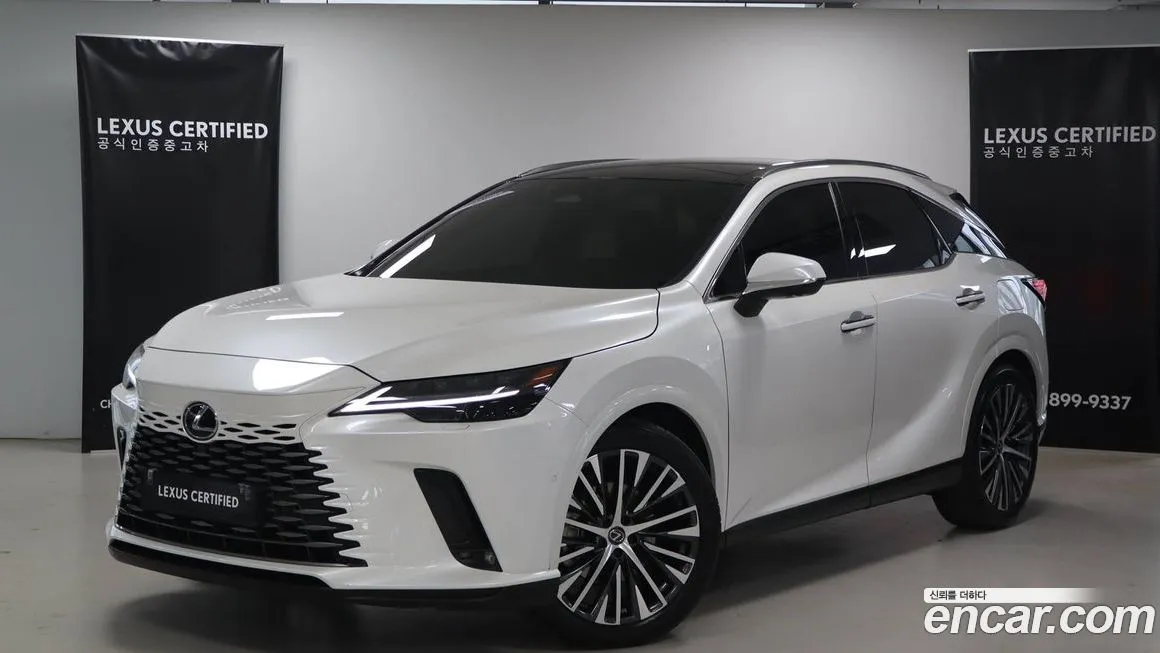 Lexus RX Luxury 1