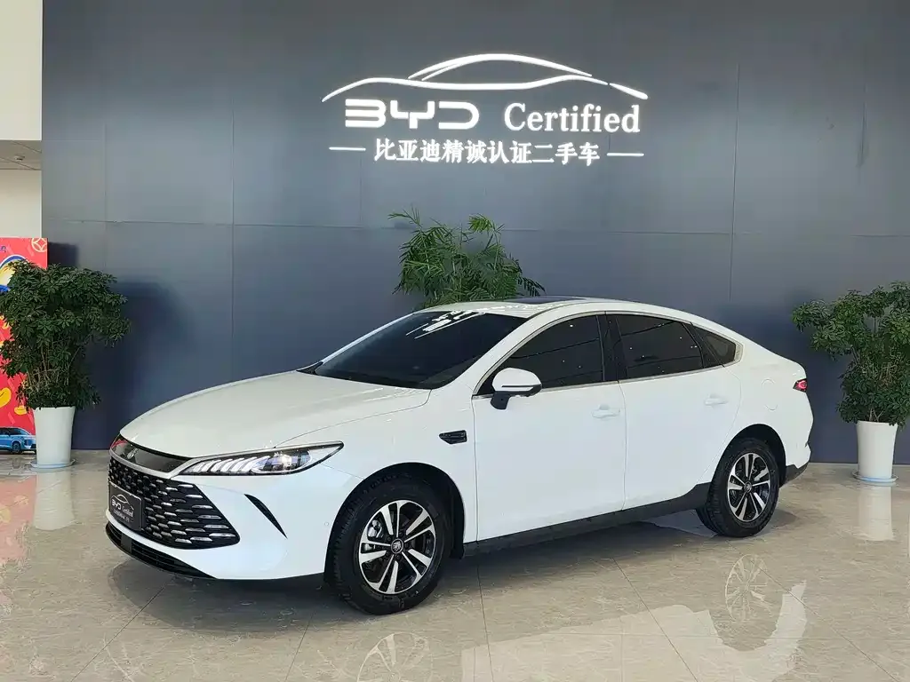 BYD Qin PLUS — фото 1