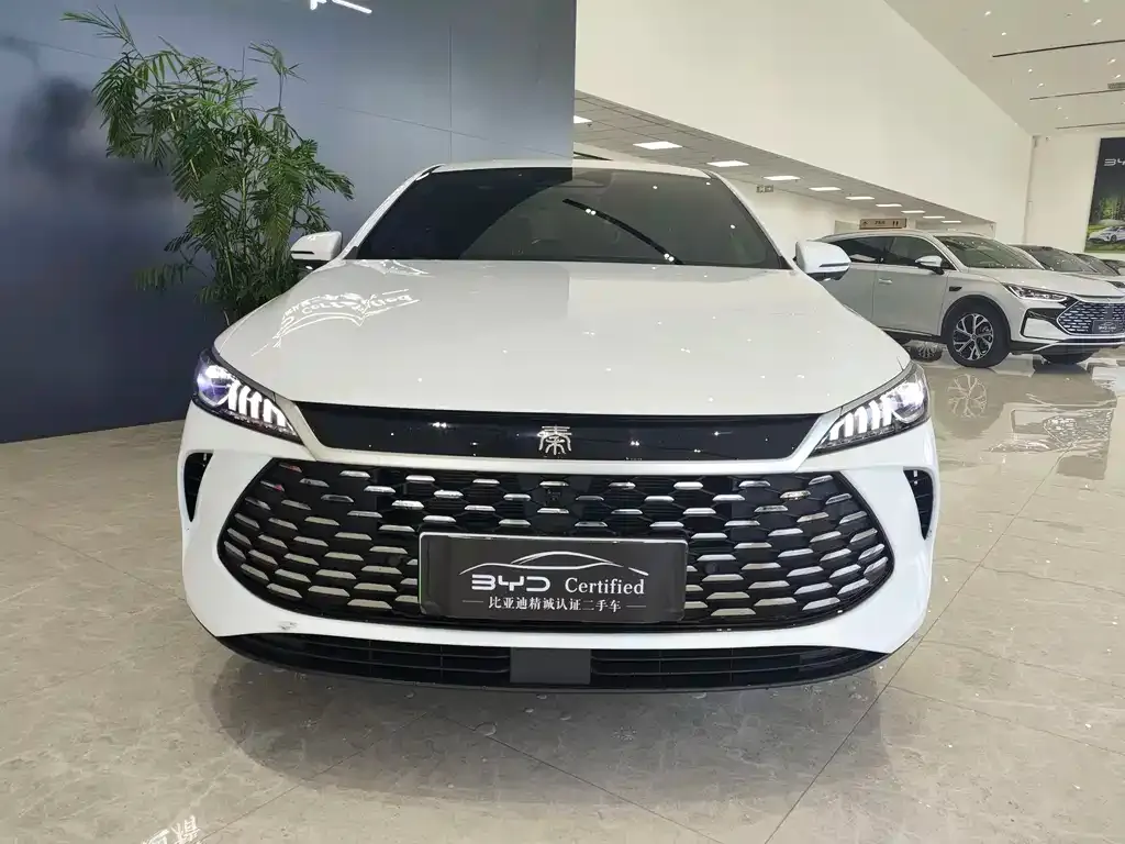 BYD Qin PLUS — фото 6