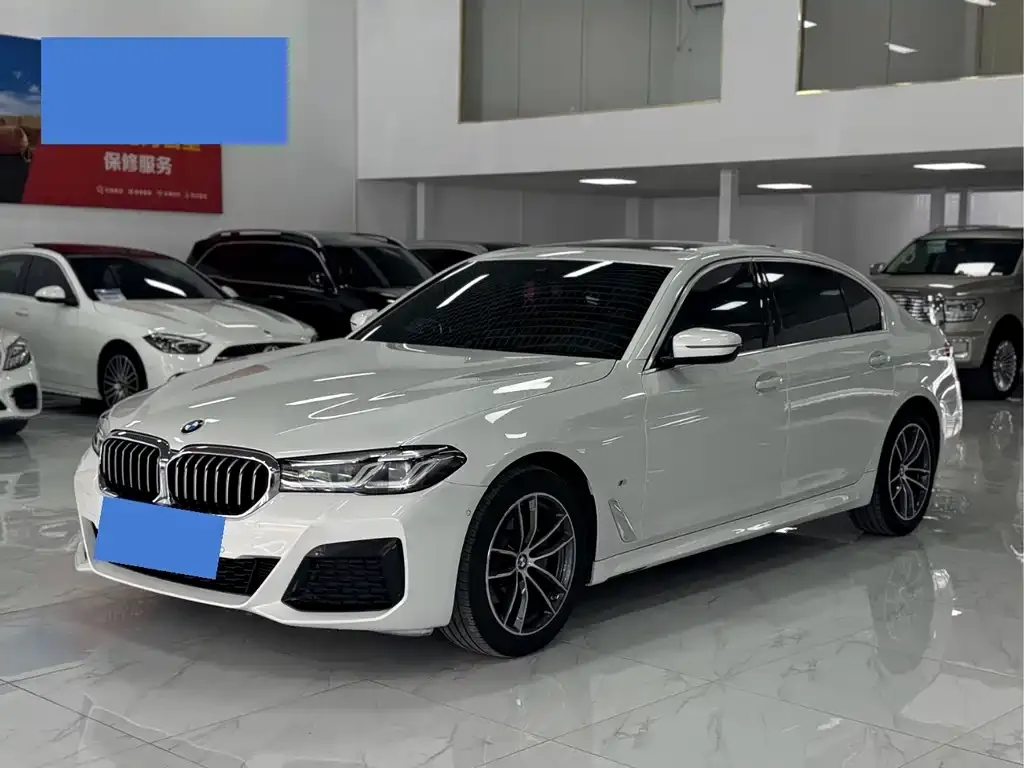 BMW 5 Series 2021 из CN, фото 1