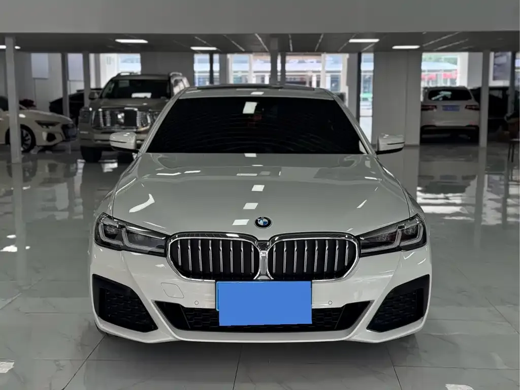 BMW 5 Series 2021 из CN, фото 5