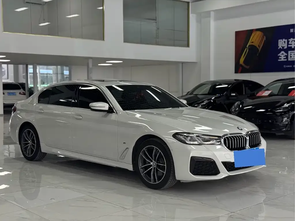 BMW 5 Series 2021 из CN, фото 2