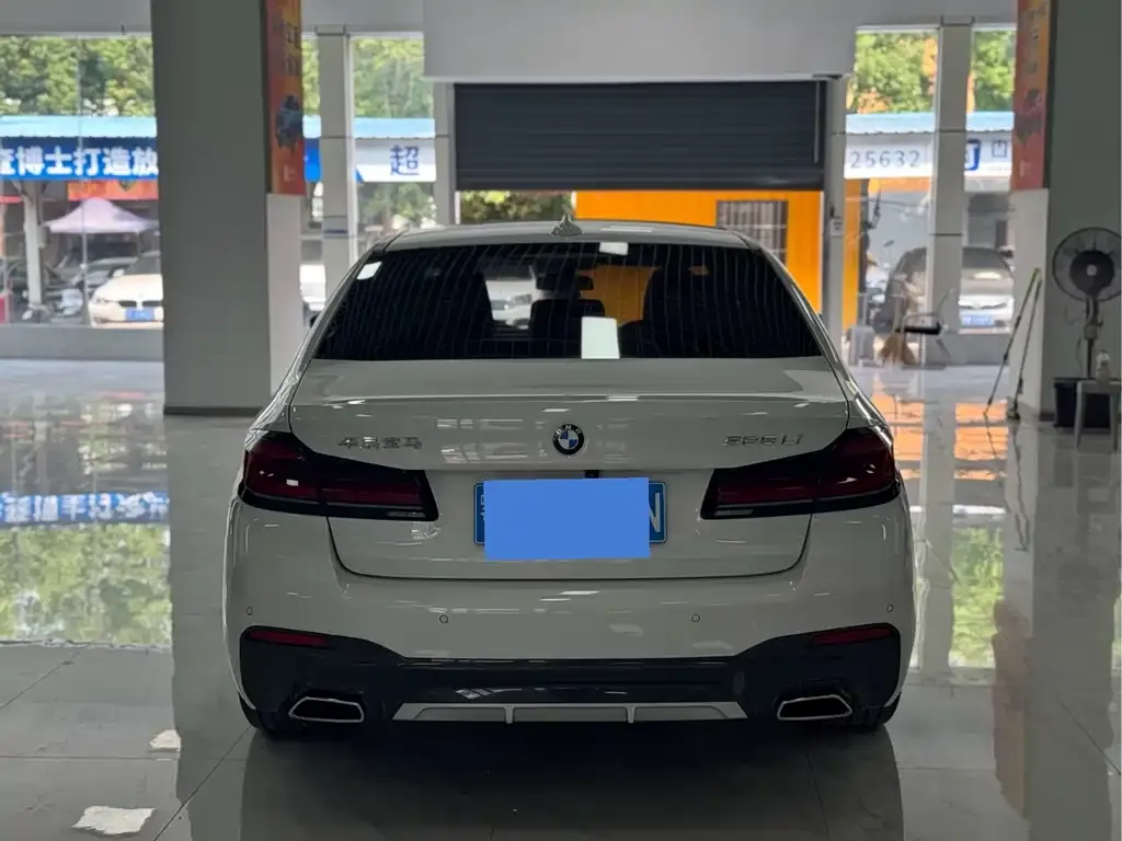 BMW 5 Series 2021 из CN, фото 10