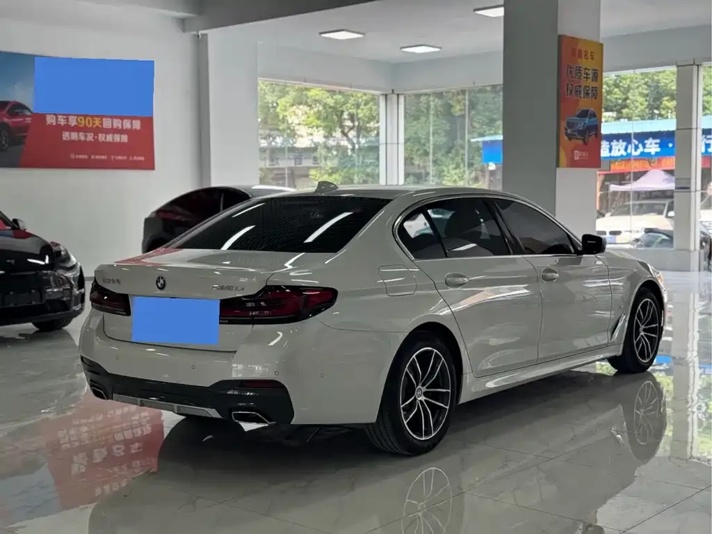 BMW 5 Series 2021 из CN, фото 7