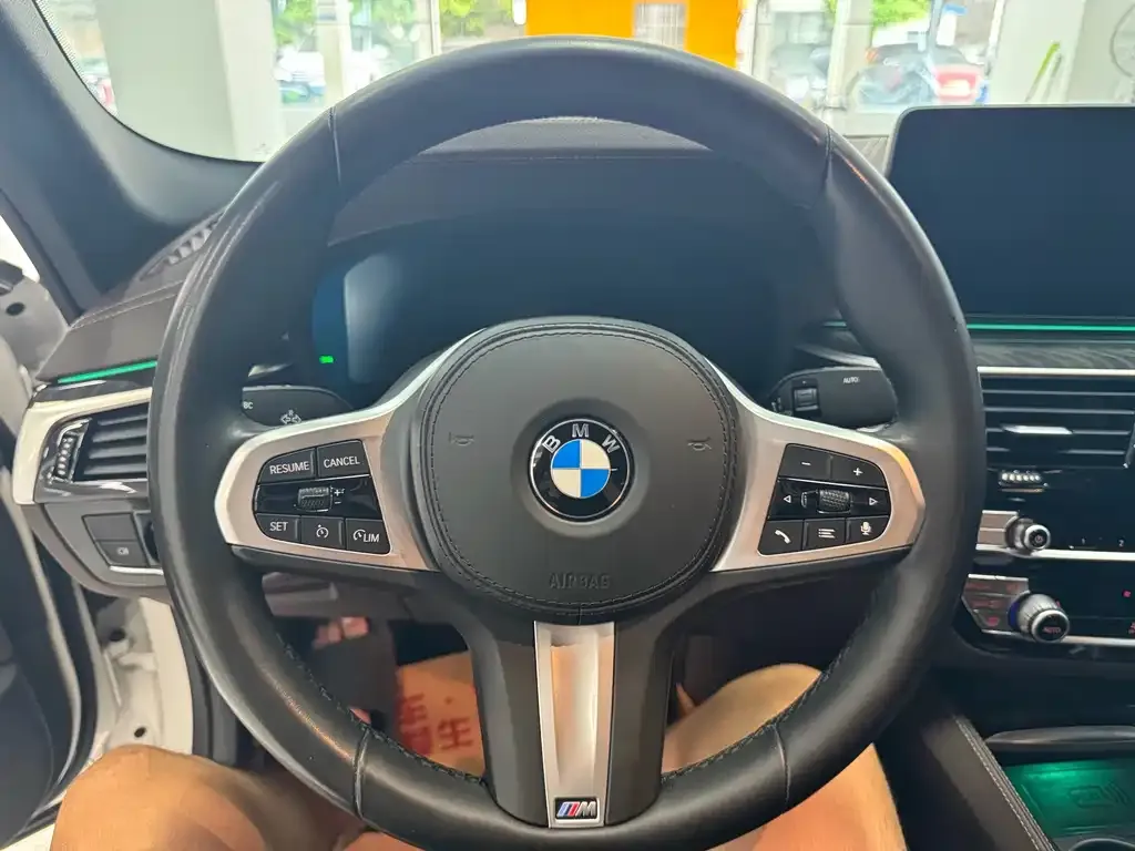 BMW 5 Series 2021 из CN, фото 8
