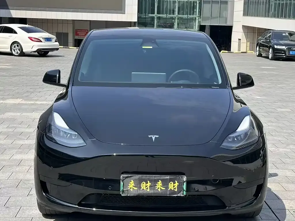 Tesla Model Y — фото 6