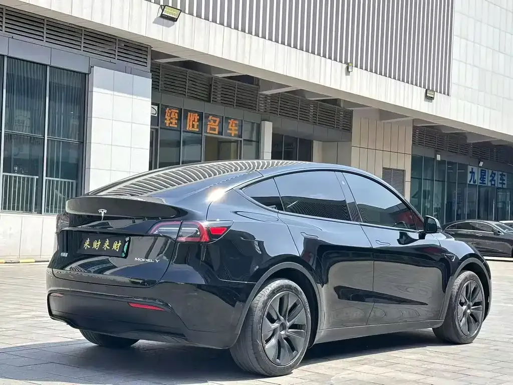 Tesla Model Y — фото 9