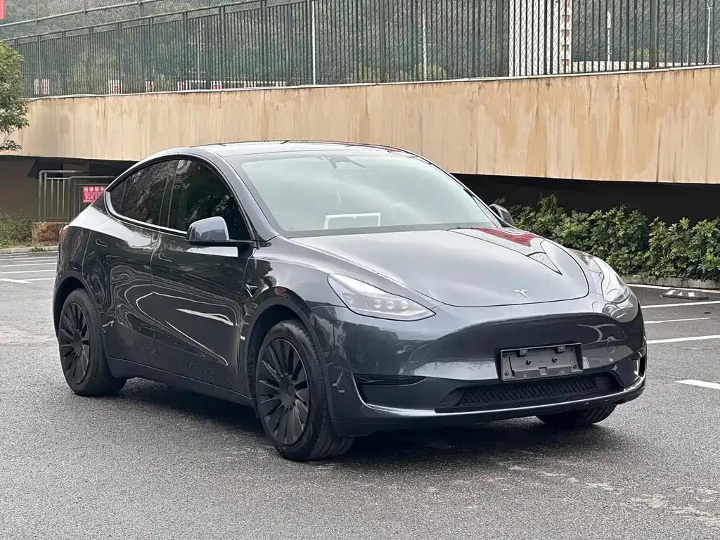 Tesla Model Y — фото 8
