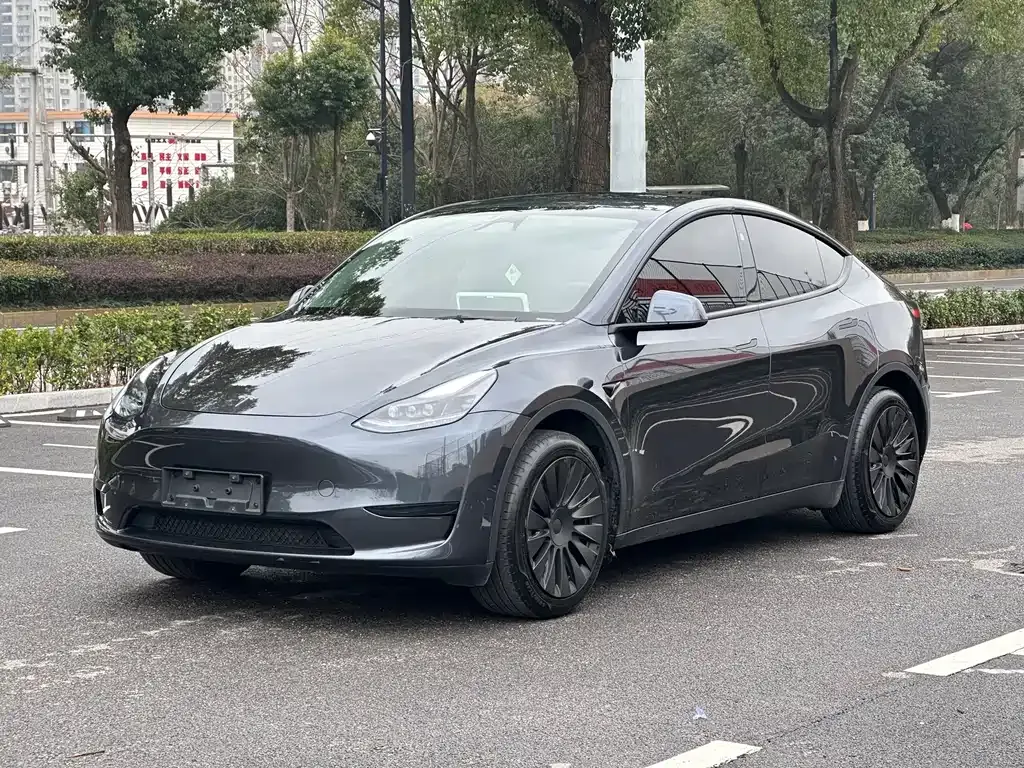 Tesla Model Y — фото 5