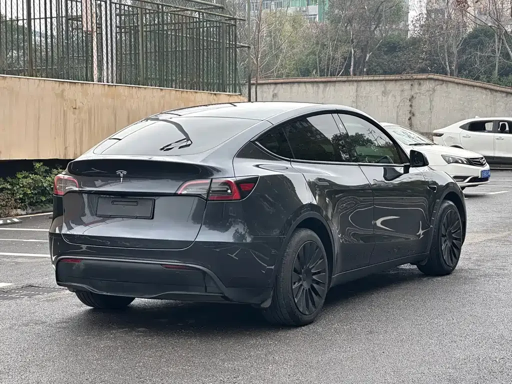 Tesla Model Y — фото 9
