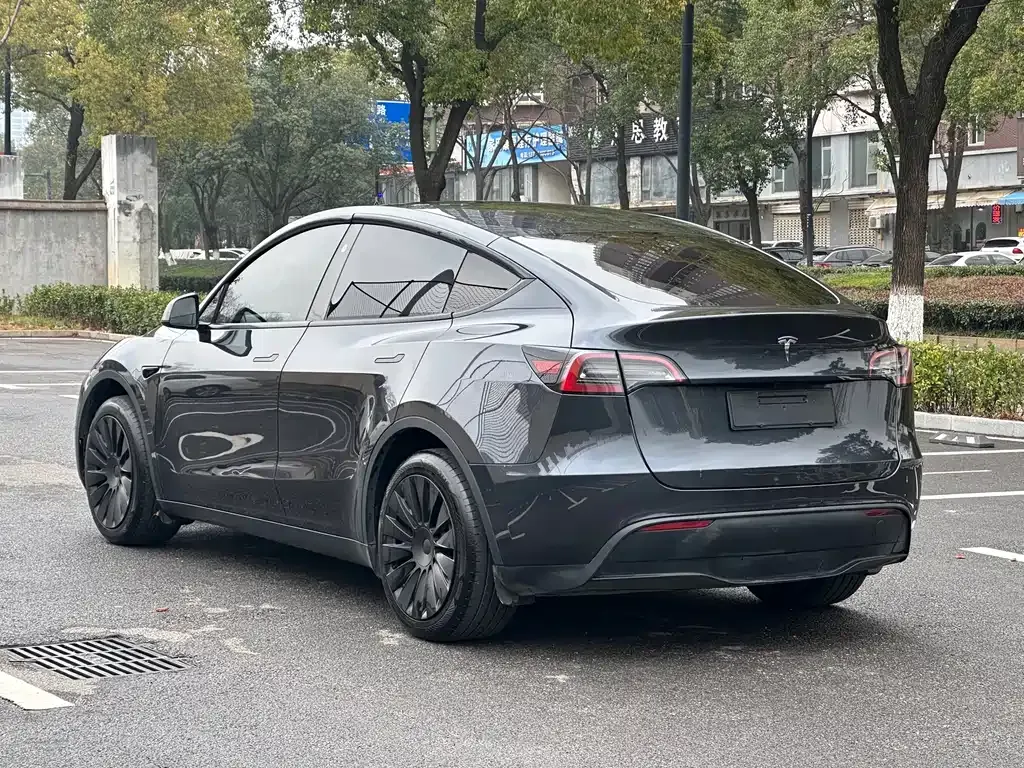 Tesla Model Y — фото 6