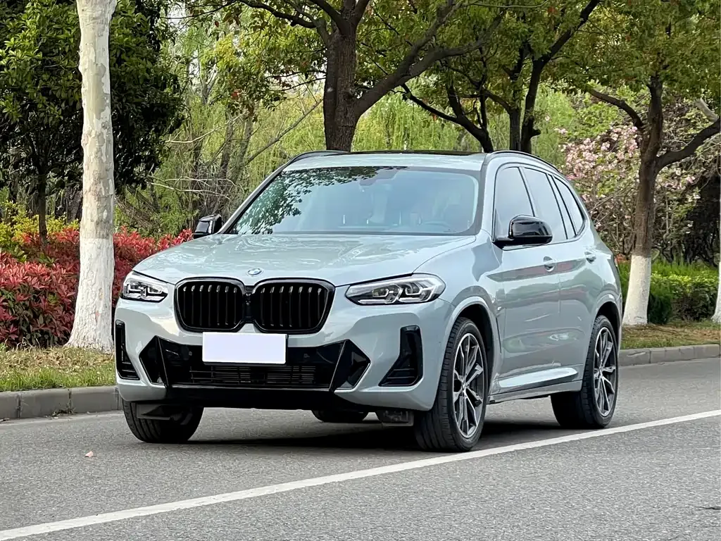 BMW X3 — фото 1