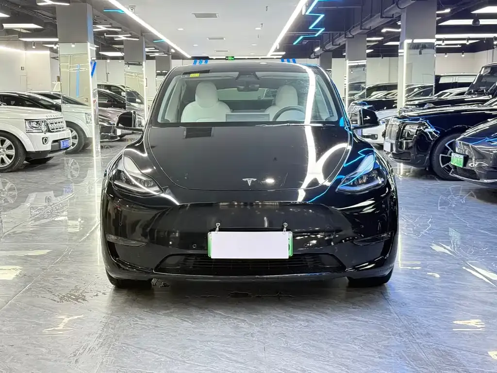 Tesla Model Y — фото 6