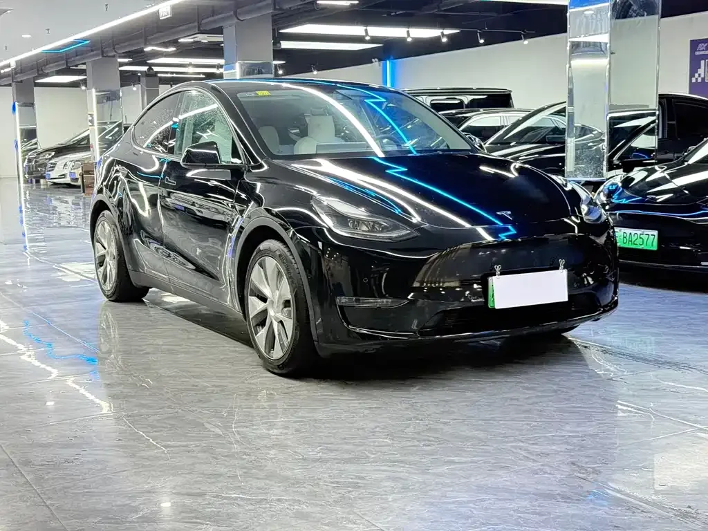Tesla Model Y — фото 8