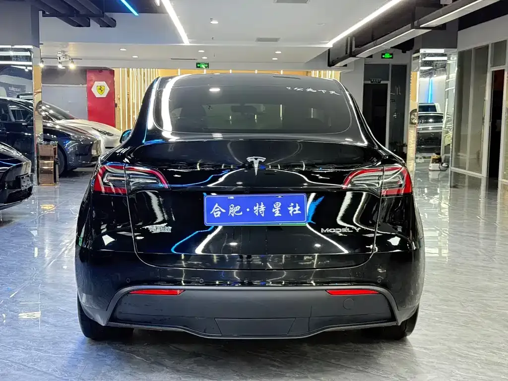 Tesla Model Y — фото 10
