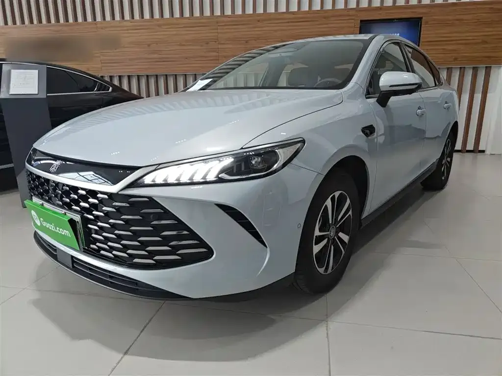 BYD Qin PLUS — фото 6